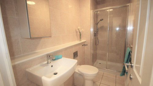 Shower Room at 77A Junction Road